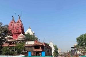 Alt-Delhi: Kulturelle und historische Tour-Erfahrung