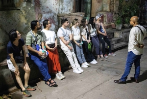 Mattur i Old Delhi: Et festmåltid om natten