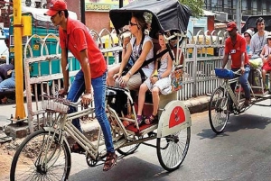 Vecchia Delhi: Tour di mezza giornata della vecchia Delhi con opzioni