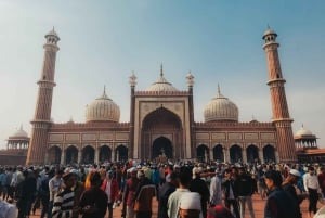 Vanha Delhi: Puoli päivää yksityistä opastettua kierrosta ja riksa-ajelua