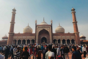 Old Delhi : visite guidée privée d'une demi-journée avec prise en charge à l'hôtel