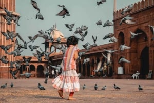 Old Delhi : visite guidée privée d'une demi-journée avec prise en charge à l'hôtel