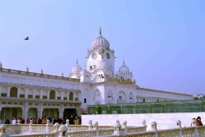 Old Delhi : visite guidée privée d'une demi-journée avec prise en charge à l'hôtel