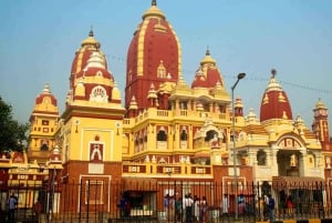 Visita turistica di Old Delhi e New Delhi in autobus di lusso con aria condizionata