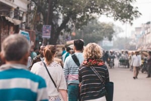 Old Delhi Private Tour: Chandni Chowk, Red Fort & Raj Ghat