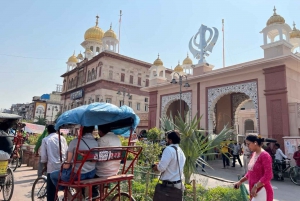 Vieux Delhi : Visite privée de Chandni Chowk, Tuk Tuk et nourriture