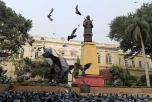 Stare Delhi: zwiedzanie z przewodnikiem Czerwonego Fortu, meczetu Dżami Masdżid i Chandi Chowk