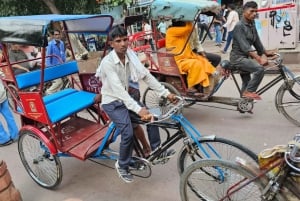 Alt-Delhi: Rundgang zum Roten Fort, Jama Masjid & Chandi Chowk