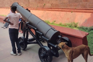Tour de 1 día: Vieja Delhi, Fuerte Rojo y Gandhi Smriti
