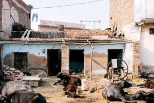 Old Delhi Slum-tur