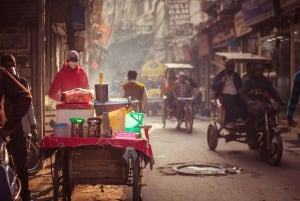 Old Delhi : visite guidée de la gastronomie de rue avec transport privé