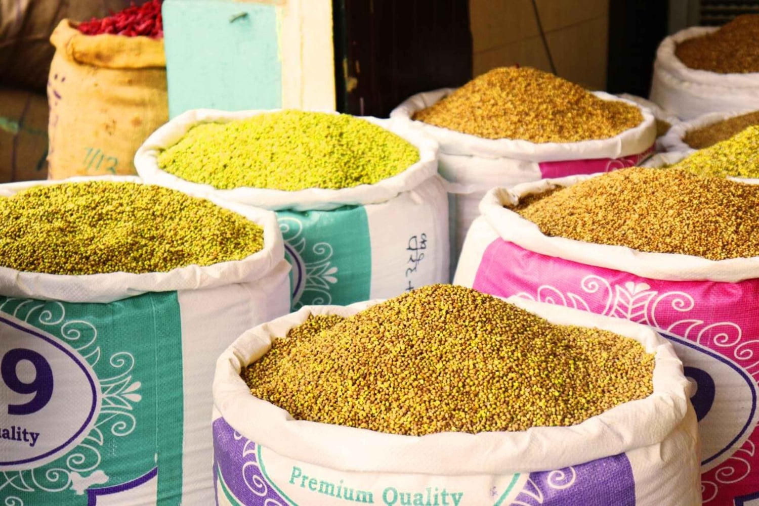 Old Delhi Temples and Spice Market Tour