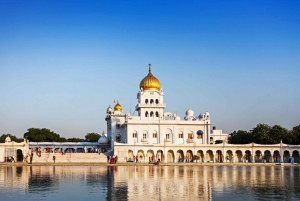 Privétour van 6 uur door de tempels en spirituele plekken van Oud-Delhi