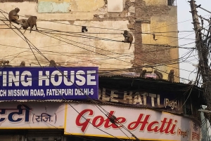 Vanhan Delhin kierros riksalla ja katukeittiö