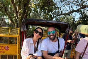 Старый Дели: пешеходная экскурсия с Чандни Чоук, едой и рикшей