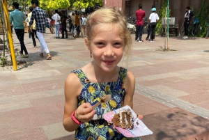 Delhi: Visita al Mercado de Especias, Templos y Comida Callejera de la Vieja Delhi