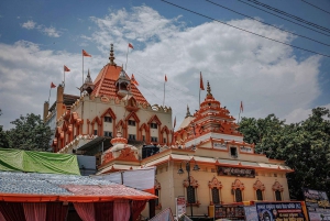 Delhi: Visita al Mercado de Especias, Templos y Comida Callejera de la Vieja Delhi