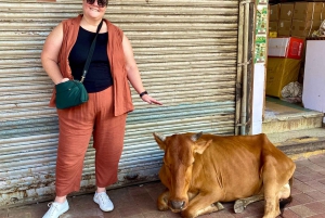 Delhi: Visita al Mercado de Especias, Templos y Comida Callejera de la Vieja Delhi