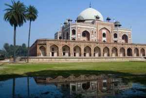 Tour privato di mezza giornata o giornata intera con tutto compreso a Old & New Delhi.