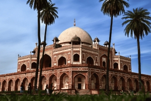 Tour privato di mezza giornata o giornata intera con tutto compreso a Old & New Delhi.