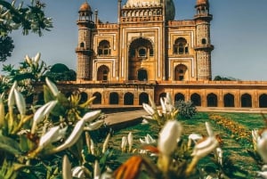 Oud & Nieuw Delhi Hele of Halve dag rondleiding met straatgerechten