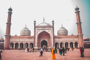 Alt- und Neu-Delhi: Geführte Städtetour mit dem Auto und Guide