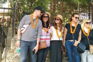 Zwiedzanie miasta z przewodnikiem po starej i nowej części Delhi: wycieczka półdniowa lub całodniowa