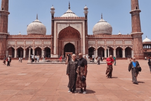 Zwiedzanie miasta z przewodnikiem po starej i nowej części Delhi: wycieczka półdniowa lub całodniowa