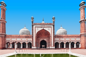 Zwiedzanie miasta z przewodnikiem po starej i nowej części Delhi: wycieczka półdniowa lub całodniowa