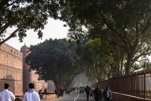 Geführte Tour durch Alt- und Neu-Delhi mit Einblicken in die Slums