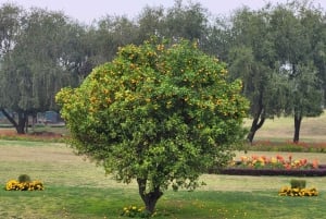 Vanhan ja uuden Delhin yksityinen matkapäivä katukeittiöineen