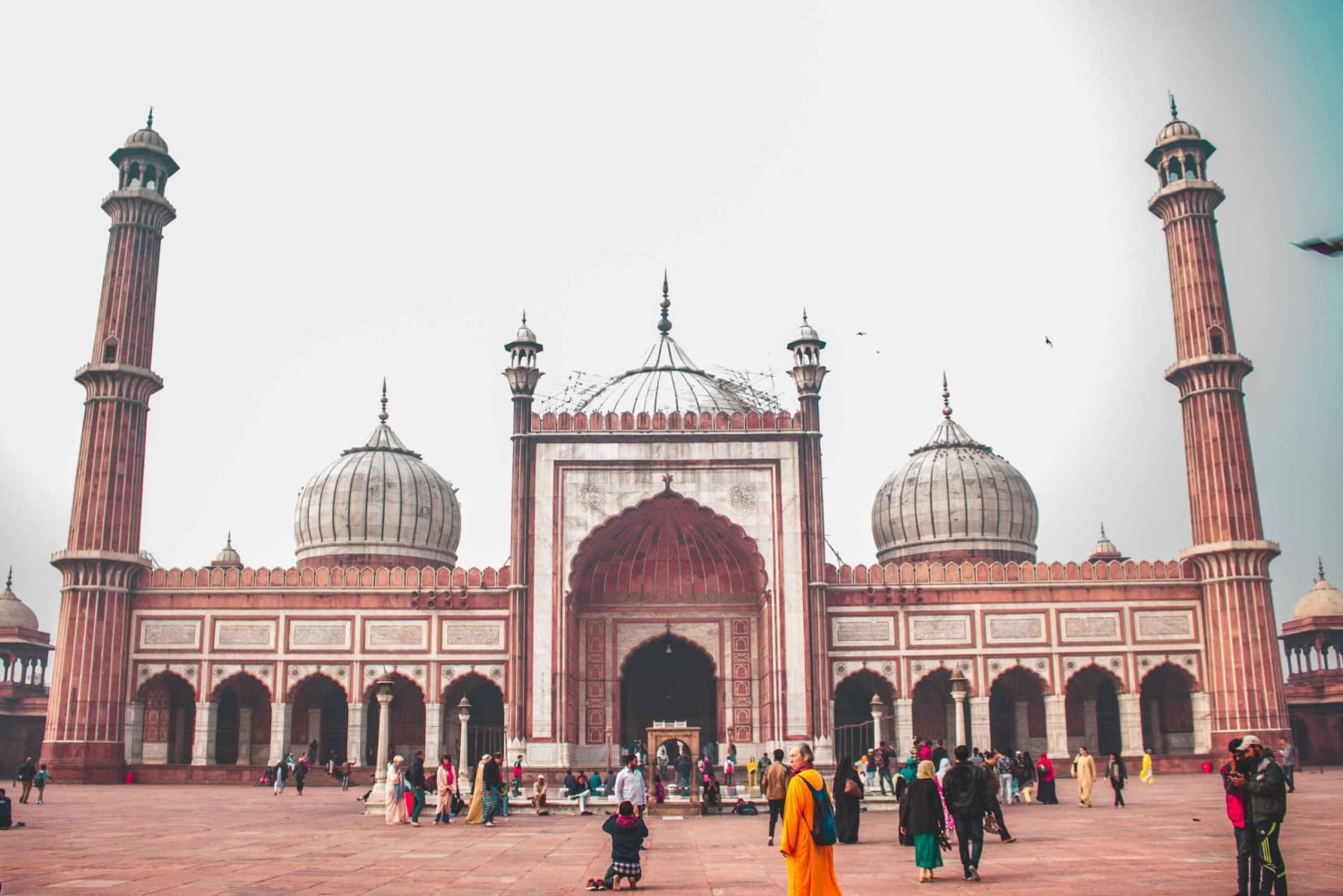 Alt- und Neu-Delhi: private Führung mit Guide und Tickets