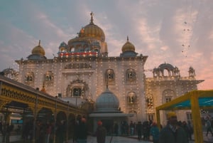 Alt- und Neu-Delhi: private Führung mit Guide und Tickets