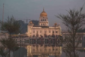 Alt- und Neu-Delhi: private Führung mit Guide und Tickets