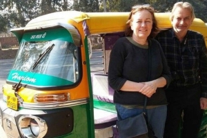 Alt- und Neu-Delhi Private Tuk Tuk Tour mit Street Food