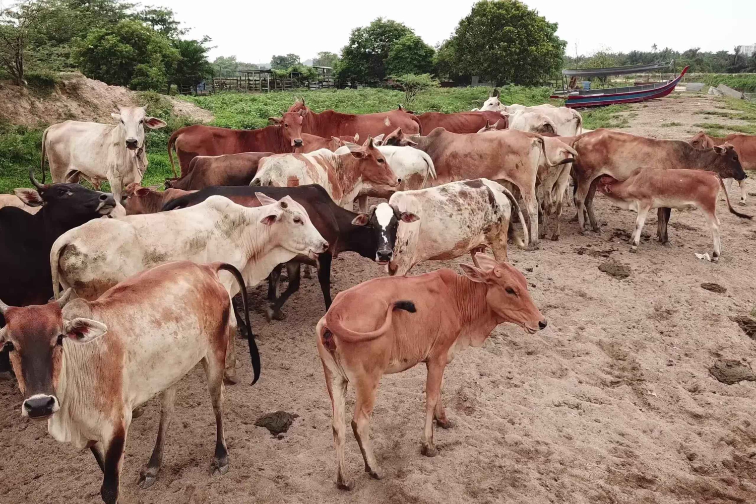 Un lugar único para todas tus actividades favoritas en Delhi