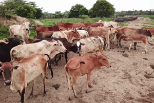 Un lugar único para todas tus actividades favoritas en Delhi