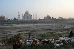 Prywatna 7-dniowa wycieczka do Delhi, Jaipur, Agry i Varanasi