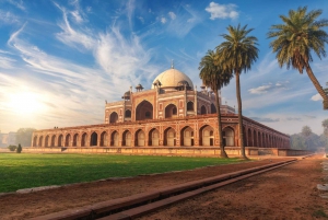 Privat heldagstur til det gamle og nye Delhi