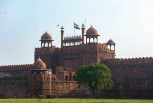 Privat heldagstur til det gamle og nye Delhi