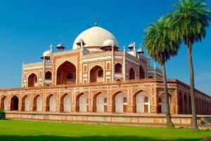 Privat heldags byrundtur i gamle og nye Delhi
