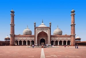 Delhi: Private Old & New Delhi City Tour with Car & Guide