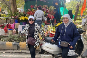 Excursão guiada particular à Velha e Nova Deli excursão de 1 dia ou de meio dia