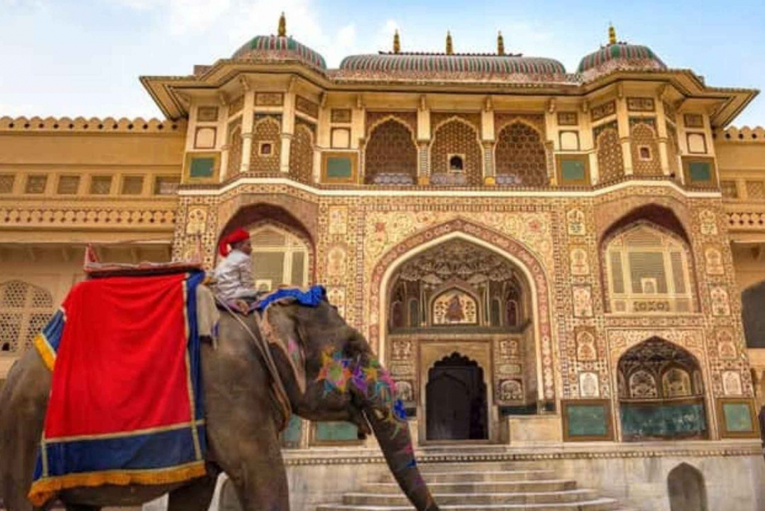 Visite privée à Jaipur 1 journée/activité de promenade à dos d'éléphant au Fort Amir