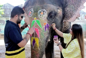 Tour particular de 1 dia em Jaipur/Atividade de passeio de elefante nomir Fort