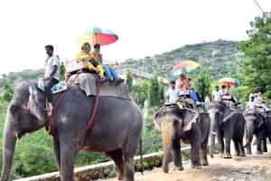 Visite privée à Jaipur 1 journée/activité de promenade à dos d'éléphant au Fort Amir