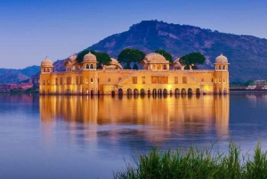 Tour particular de 1 dia em Jaipur/Atividade de passeio de elefante nomir Fort