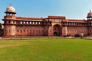 Private Ganztagestour oder Halbtagestour durch Alt- und Neu-Delhi