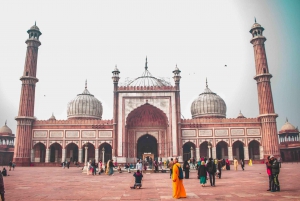 Privat Alt- & Neu-Delhi: Das Beste von Delhi mit Transfers & Gebühr