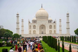 De Deli: Excursão com tudo incluído ao Taj Mahal e ao Forte de Agra